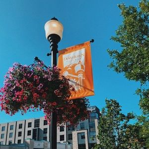 Meet your Posher, Kaleigh